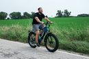 Fat Tire Electric Bike