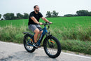 Fat Tire Electric Bike