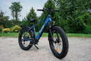 Fat Tire Electric Bike