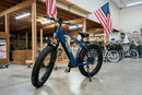 Fat Tire Electric Bike