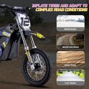 MotoTec 36v 1000w Electric Dirt Bike HP112E