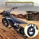 MotoTec 36v 300w Electric Dirt Bike HP122E