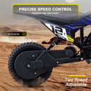 MotoTec 36v 300w Electric Dirt Bike HP122E