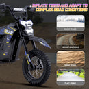 MotoTec 36v 300w Electric Dirt Bike HP122E
