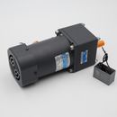 Drive Motor & Transmission (110V-AC)