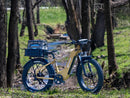YOUNG Electric E-Scout Pro Step-Through Commuter Ebike | Up to 80 Miles, 28 MPH | 960Wh LG Battery, 26’’ All-terrain eBike