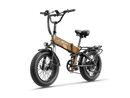 JASION Hunter Pro Ebike