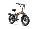 JASION Hunter Pro Ebike