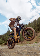 ENGWE M20 2.0 Electric Bike