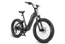 Grace 2.0 Step-Thru Electric Bike