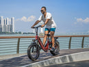 Heybike Ranger 3.0 Pro Electric Bike