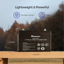 Renogy RBT100LFP12S - 12V 100Ah Smart Lithium Iron Phosphate Battery