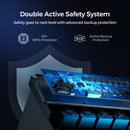 RENOGY (12.8V 200Ah pro series) smart lithium batteries with BT and self-heating function