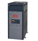 Calentador de piscina de propano líquido RUUD de 105 000 BTU con encendido analógico (altura de 0 000 a 2 000 BTU)