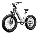 CYCROWN Roma Bicicleta Eléctrica Todoterreno