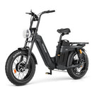 Bicicleta eléctrica TESWAY X5 AWD de paso – Motor dual de 3600 W de fácil montaje