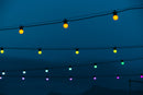 Luces TwinklyFestoon 20 RGB