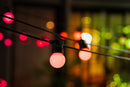 Luces TwinklyFestoon 20 RGB