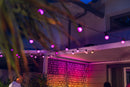 Luces TwinklyFestoon 20 RGB