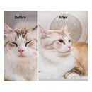 PETKIT AirSalon Max Pro Pet Dryer Box