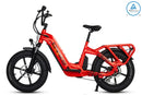 BICICLETA ELÉCTRICA DE CARGA COLLIE