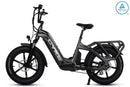 BICICLETA ELÉCTRICA DE CARGA COLLIE