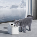 PETKIT Smart Essentials Bundle