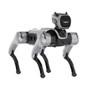 Magiclab MagicDog