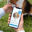 Ring Tag - Real-time alerts