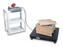OHAUS RC41M6 Ranger 4000 Counting Scales - 6 kg x 0.2 g