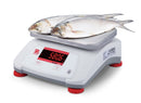 OHAUS VALOR V22PWE6T 6000g 1g WATER RESISTANT COMPACT FOOD SCALE 2YWARRANTY