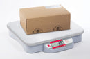 Catapulta Ohaus C11P9 1000, escala, capacidad de 20 lb, lectura de 0,01 lb. Hacer oferta.