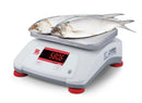 Báscula compacta de sobremesa para alimentos Ohaus V22PWE30T AM Valor 2000