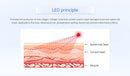 Shape Tactics - Cryolipolysis 40K Cavitation RF Body Contouring System