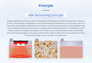 Shape Tactics - Cryolipolysis 40K Cavitation RF Body Contouring System