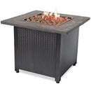 Brasero de gas LP para exteriores Endless Summer de Mr. Barb BQ