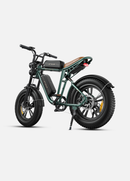 ENGWE M20 Electric Bike