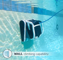 Dolphin Explorer E70 / Wellbots
