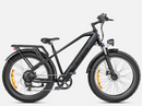 Bicicleta eléctrica ENGWE E26