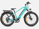 Bicicleta eléctrica ENGWE E26