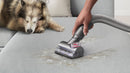 Dyson Ball Animal 3 De-Tangling Vacuum For Homes with Pets